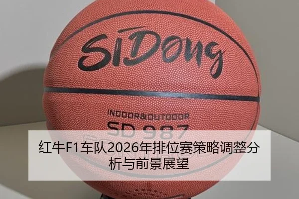 hong-niu-che-dui-nian-pai-wei-sai-ce-lve-tiao-zheng-fen-xi-yu-qian-jing-zhan-wang-2-828.jpg